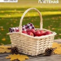 Корзина плетёная для хранения, 27&times;22&times;14 см, ручка h=13 см, ива, белая