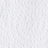 Полотенца бумажные д/дисп. FOCUS Premium Z-сл 2 сл 24х20см 200л/12пач/уп