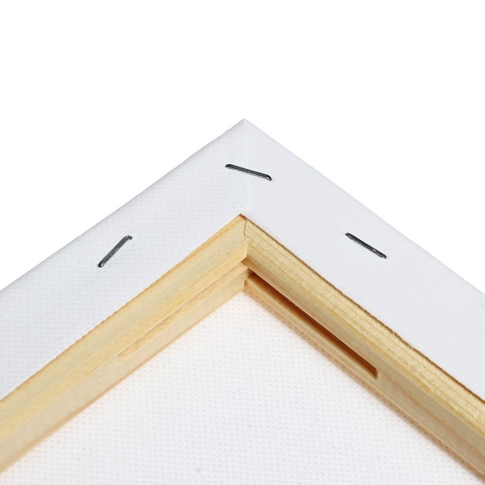 Холст на подрамнике 1,6х20х40 см, хлопок 100%, акриловый грунт, среднезернистый, 380г/м² Холст на подрамнике 1,6х20х40 см, хлопок 100%, акриловый грунт, среднезернистый, 380г/м²