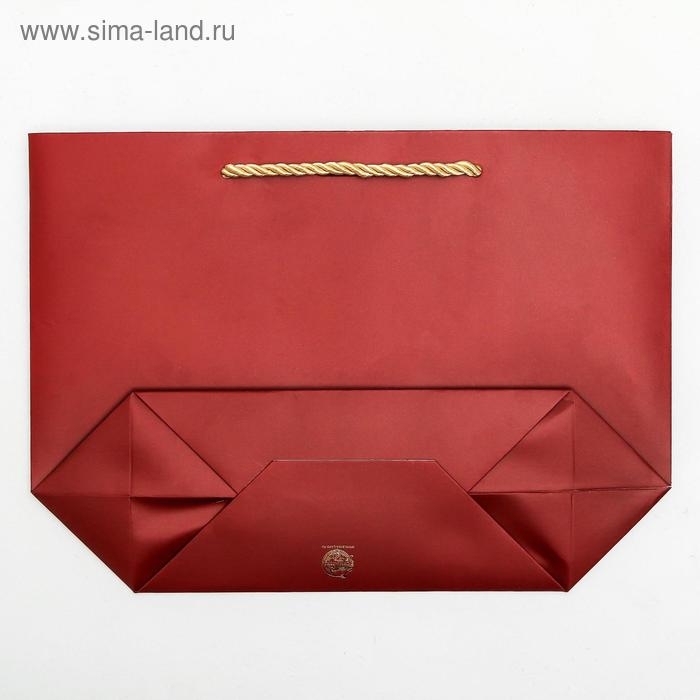 Пакет подарочный, упаковка, Present for you, 19 х 20 х 9 см Пакет подарочный, упаковка, Present for you, 19 х 20 х 9 см