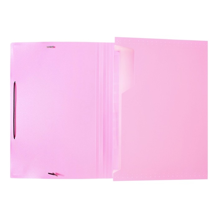 Папка картотека А4, Calligrata Папка картотека А4, Calligrata "Акварель", 13 отделений, пластиковая, 700 мкм, фламинго, резинка чёрная