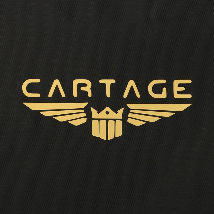 Термосумка Cartage Т-25, черная, 30 л Термосумка Cartage Т-25, черная, 30 л