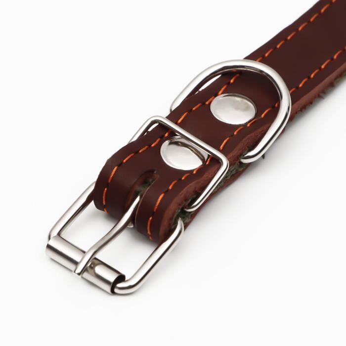 Ошейник комбинированный кожа/брезент, безразмерный, 54 х 2.5 см, ОШ 17-45 см, коричневый Ошейник комбинированный кожа/брезент, безразмерный, 54 х 2.5 см, ОШ 17-45 см, коричневый