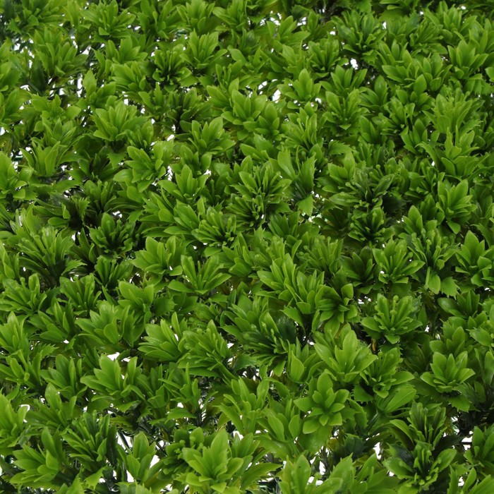 Декоративная панель, 60 × 40 см, «Высокий мох», Greengo Декоративная панель, 60 × 40 см, «Высокий мох», Greengo