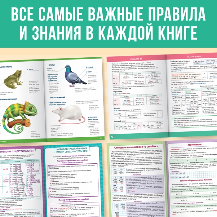 Набор «Сборники шпаргалок для начальной школы», 4 книги, 7+ Набор «Сборники шпаргалок для начальной школы», 4 книги, 7+