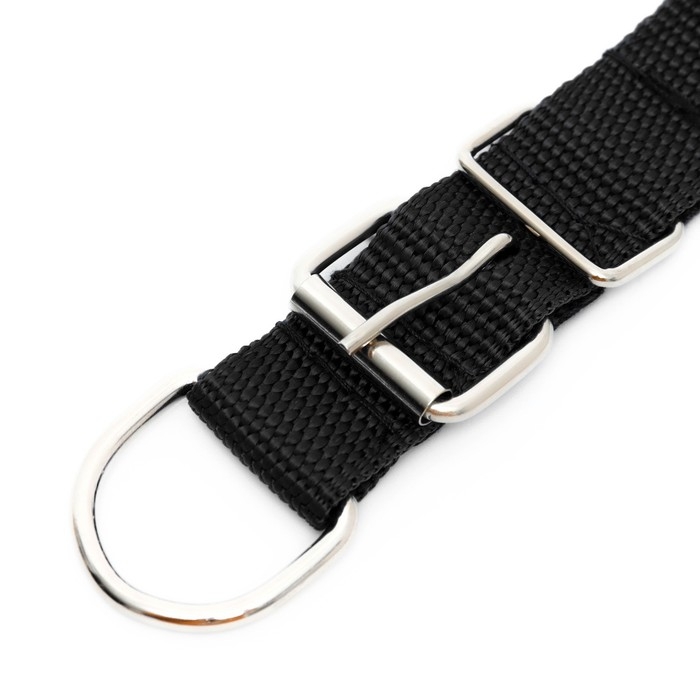 Ошейник Ошейник "Комфорт" комбинированный, 55 х 2,5 см, ОШ 40-50 см, чёрный