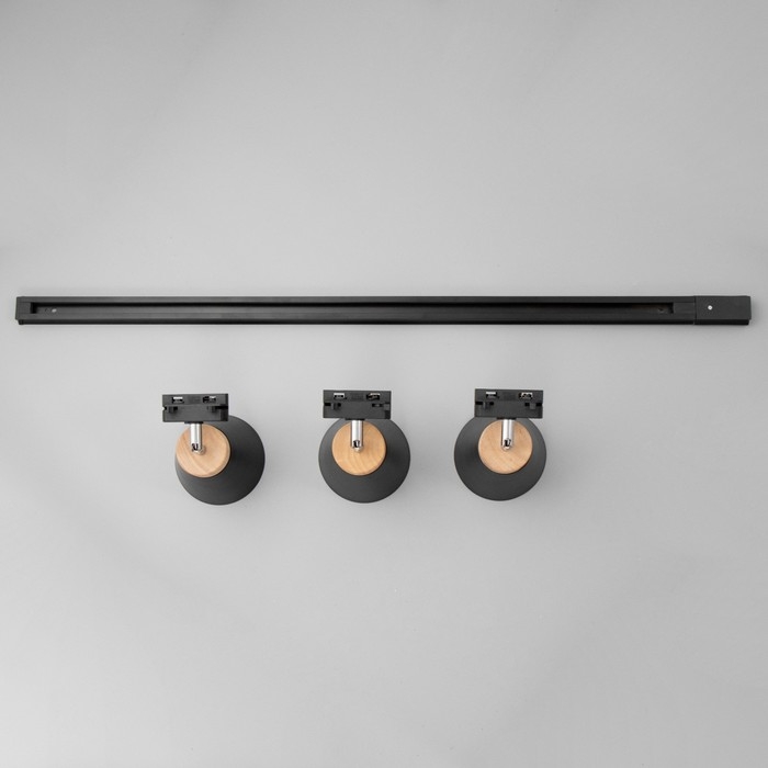 Спот Спот "Риген" 3хЕ27 40Вт черный 100х17х12 см