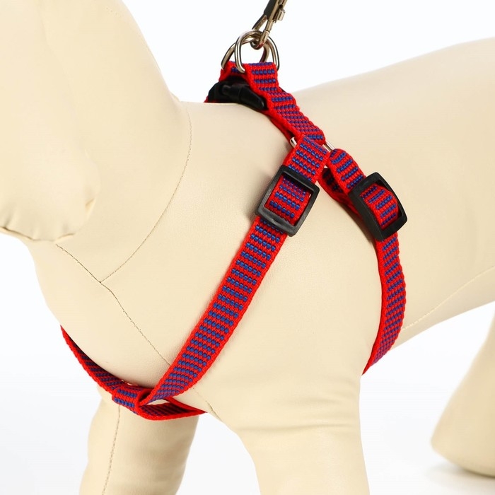 Комплект амуниции рельефный, поводок 120 х 1,5 см, ОГ 36-49 см, красно-синий