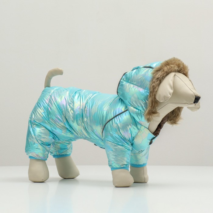 Комбинезон Комбинезон "Глянец", размер 8 (ДС 23, ОГ 30, ОГ 22), голубой