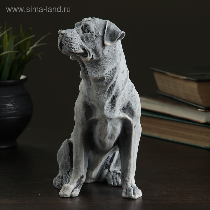 Сувенир  Сувенир "Ротвейлер (большой)" 19,5см