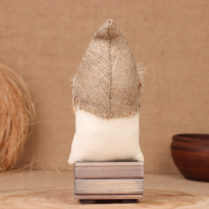 Домовой Домовой "Любимчик с книгой", на сундуке, 21х11х7 см