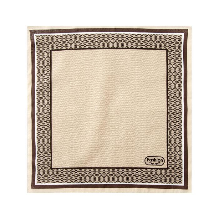 Платки носовые мужские Этель  Платки носовые мужские Этель "Серджио" 30*30 см,(набор 12 шт,) цв.коричневый, рис. МИКС