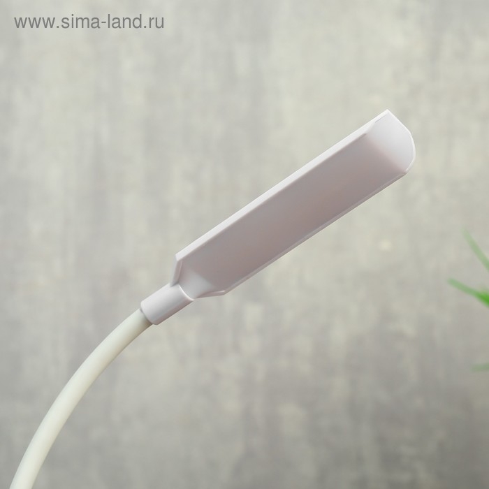 Лампа настольная 79954/1 LED 2Вт USB батарейки 3АА белый 10х7х37 см RISALUX Лампа настольная 79954/1 LED 2Вт USB батарейки 3АА белый 10х7х37 см RISALUX