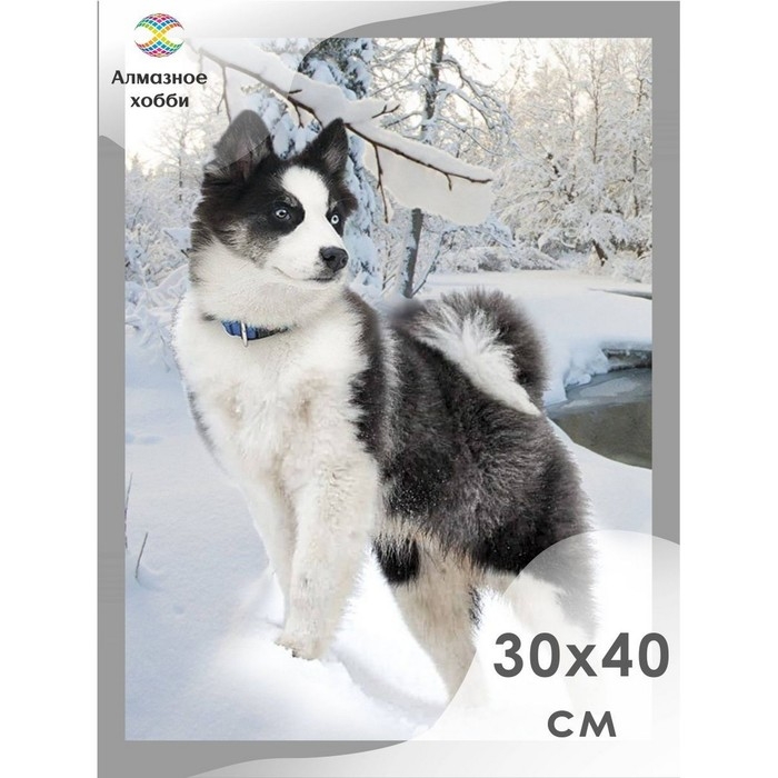 Алмазная мозаика «Хаски», 30 × 40 см Алмазная мозаика «Хаски», 30 × 40 см