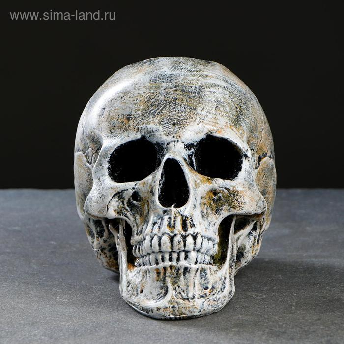 Подставка под ёрш  Подставка под ёрш "Череп" 16х15х22см (ершик н/сталь)