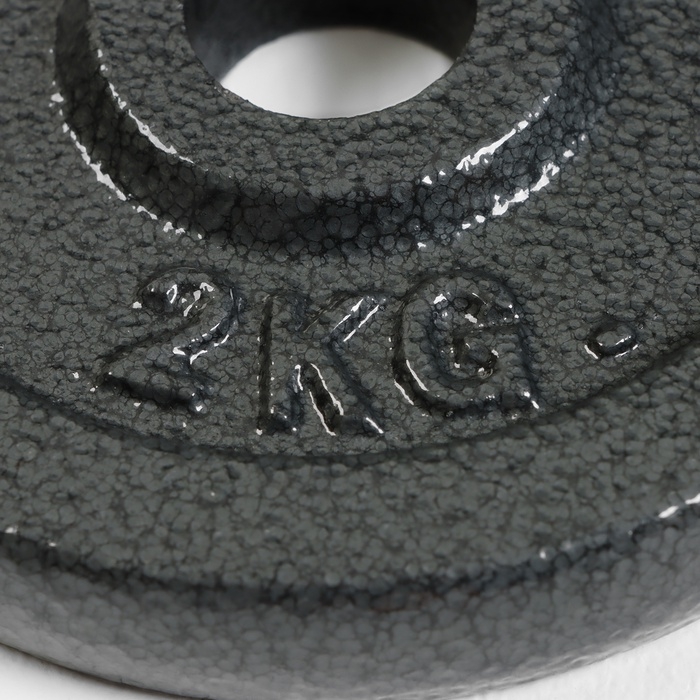 Диск 2 кг, d=29 мм Диск 2 кг, d=29 мм