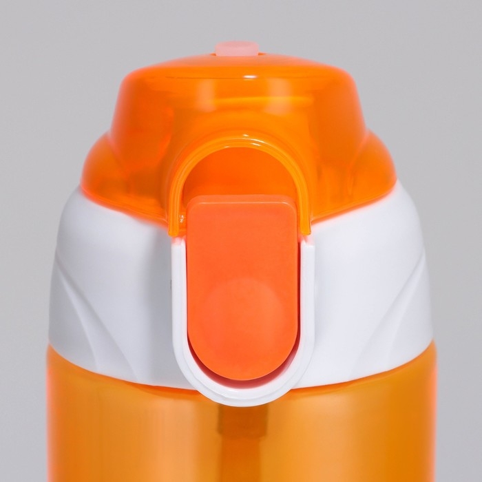 Бутылка для воды «Пушистый», 600 мл Бутылка для воды «Пушистый», 600 мл