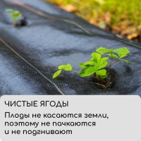 Агроткань застилочная, с разметкой, 5 × 3,2 м, плотность 100 г/м², полипропилен, Greengo, Эконом 50%