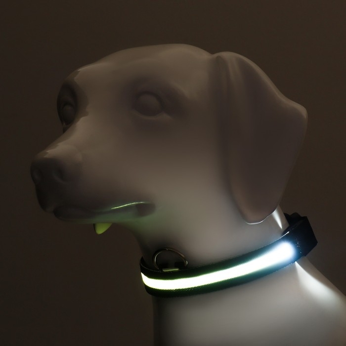 Ошейник с подсветкой размер L, ОШ 45-52 х 2,5 см, 3 режима свечения чёрный Ошейник с подсветкой размер L, ОШ 45-52 х 2,5 см, 3 режима свечения чёрный