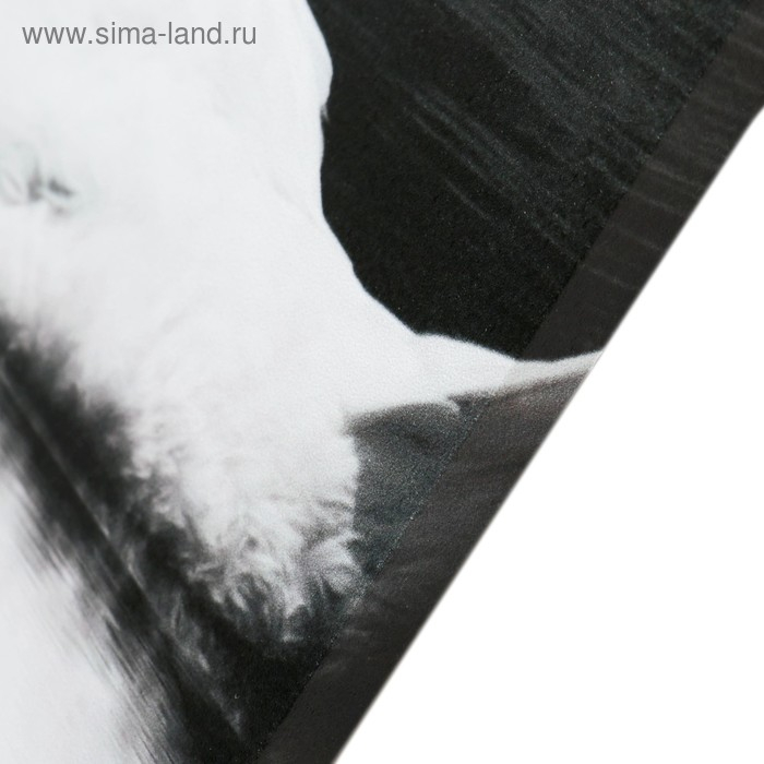 Картина модульная на подрамнике  Картина модульная на подрамнике "Лебеди в ночи" 2шт-25х50, 1шт-30х60 ;60*80 см