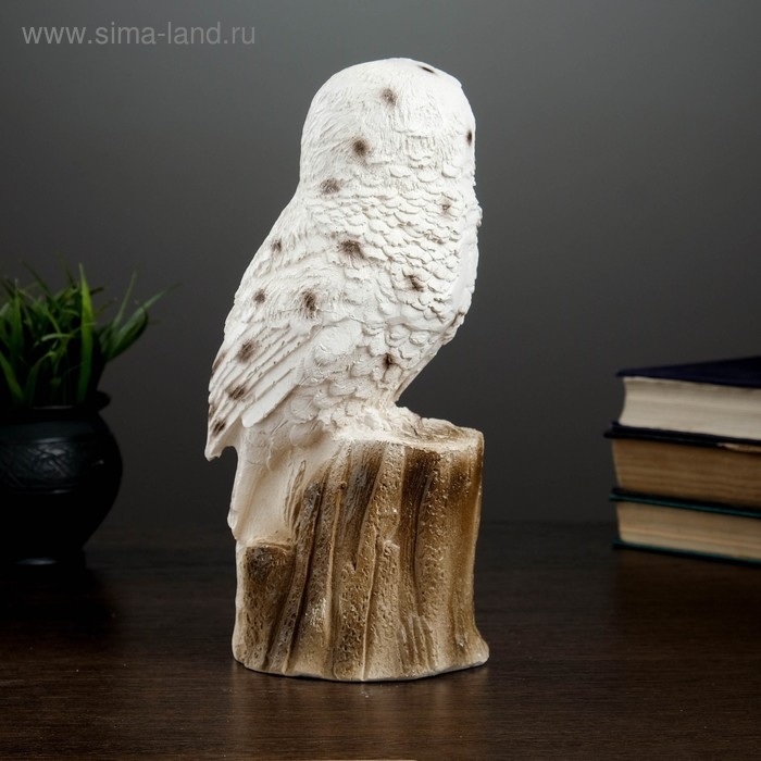Копилка  Копилка "Сова полярная" 14х12х27см