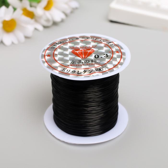 Леска для бисера 0,3 мм 100 м, чёрный Леска для бисера 0,3 мм 100 м, чёрный