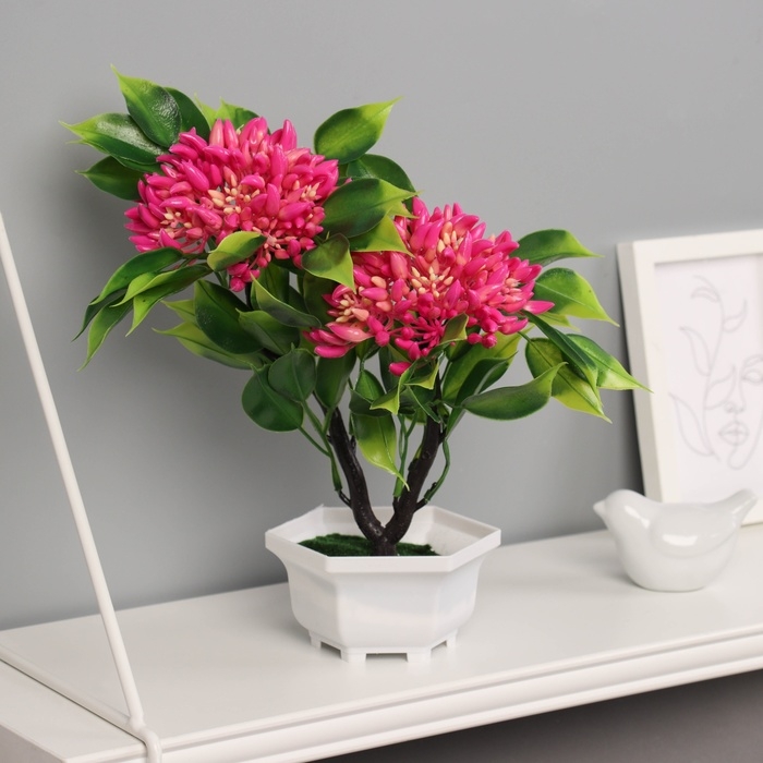 Бонсай в горшке Бонсай в горшке "Ашока комнатная" 23х11 см, микс