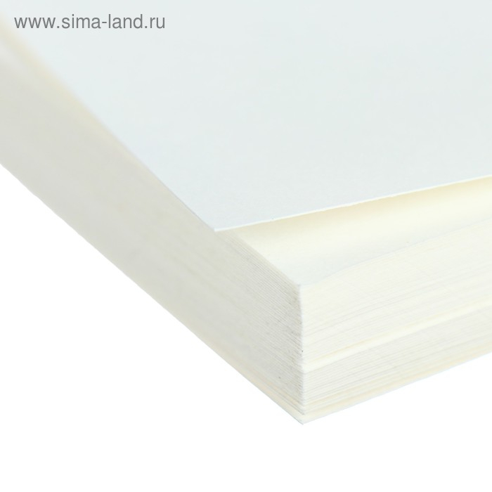 Бумага для рисования А4, 50 листов, 50% хлопка, 200 г/м²