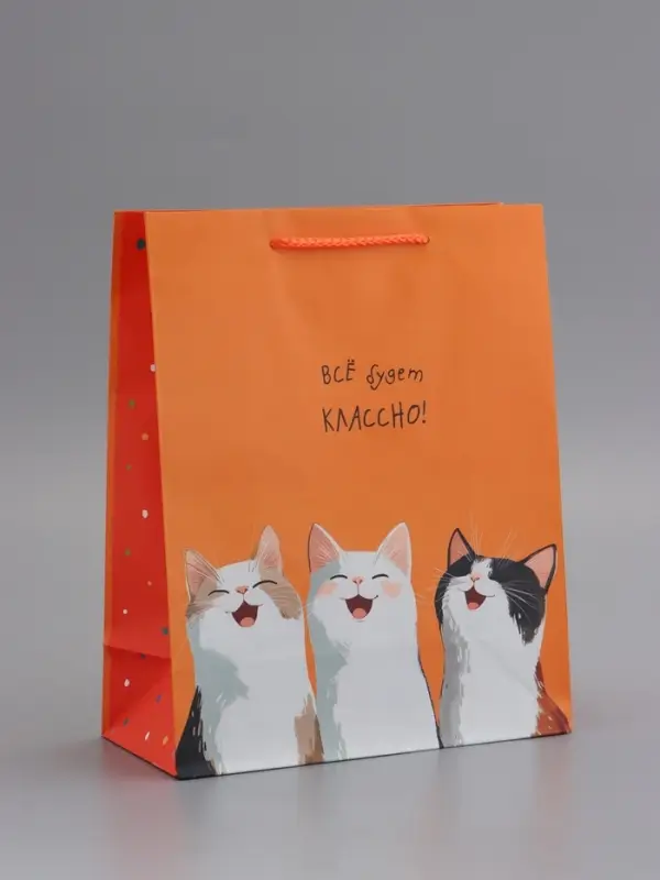 Пакет подарочный, ламинированный, "Все будет классно" , 26 х 12 х 32 см