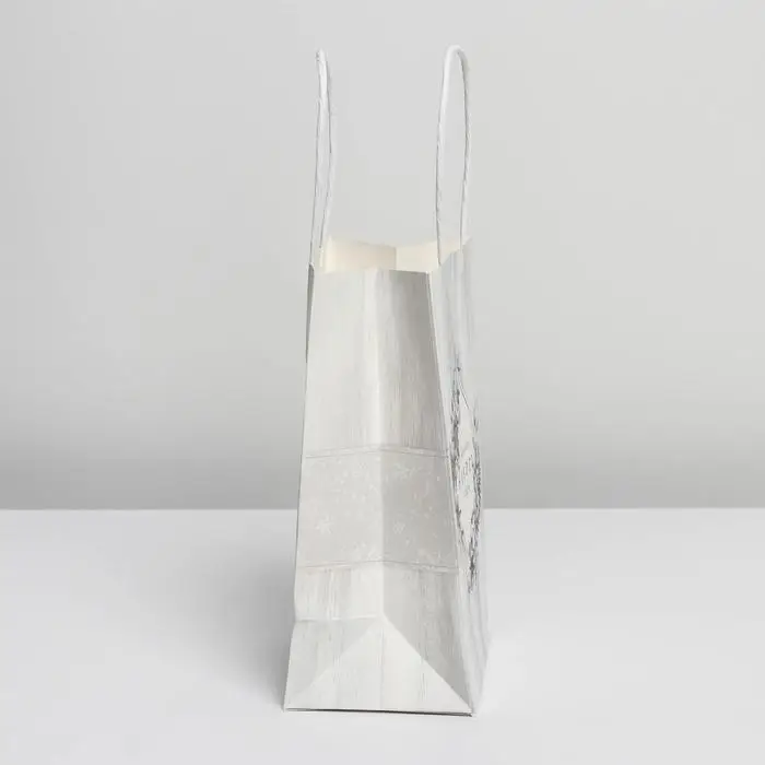 Пакет подарочный новогодний крафтовый «С Новым годом!», 12 х 21 х 9 см Пакет подарочный новогодний крафтовый «С Новым годом!», 12 х 21 х 9 см