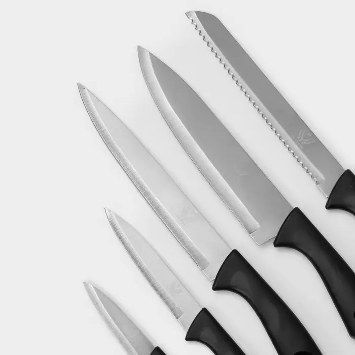 Набор кухонных ножей &laquo;Энеолит&raquo;, 5 предметов: лезвие 8.5 см, 12.5 см, 19.5 см, 20 см, 20 см, чёрный