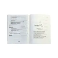 Запускаем речь у неговорящих детей. Диагностика и коррекция, от безречия до фразы. Кулькова Н. 11000