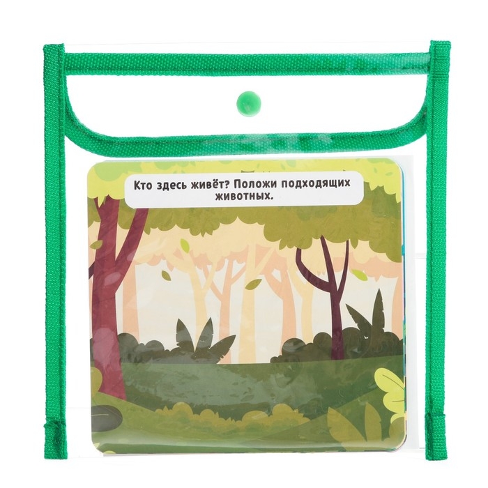Развивающий набор «Изучаем животных» Развивающий набор «Изучаем животных»