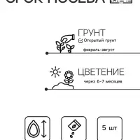 Семена цветов Эустома Эхо Йеллоу желтая, драже, 5 шт