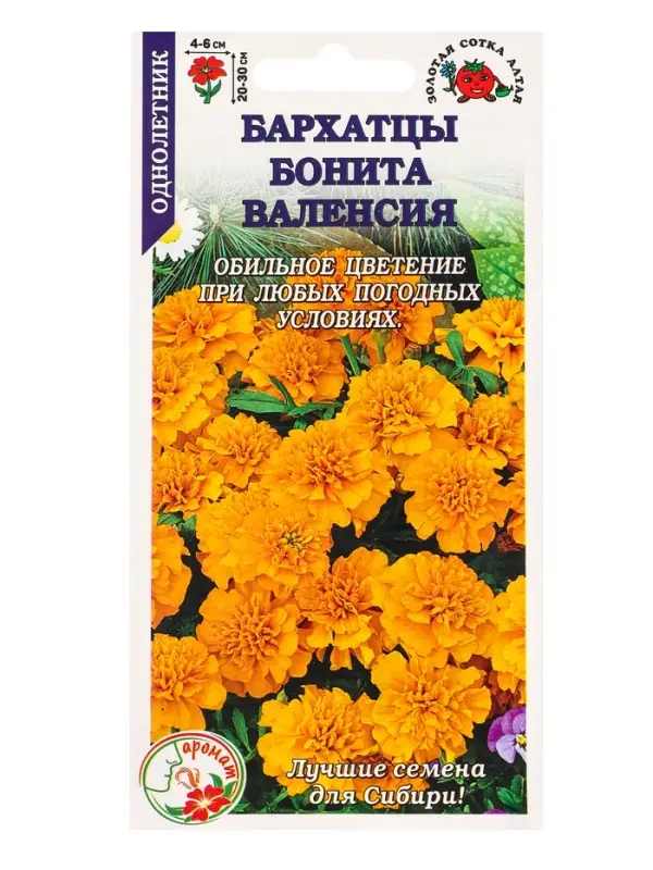 Семена Бархатцы Бонита Валенсия /Сотка/ 0,2г/ откл. 30см, d-6см/*1200 Семена Бархатцы Бонита Валенсия /Сотка/ 0,2г/ откл. 30см, d-6см/*1200