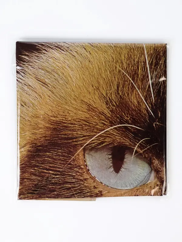 Воздушный шар фольгированный 35" &laquo;Сердитая кошка в колпаке&raquo;