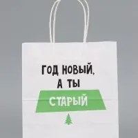 Пакет подарочный, крафтовый &laquo;Новогодний&raquo;, 22&times;25&times;12 см