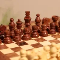 Шахматы дорожные, 20.5&times;20.5&times;7 см, дерево шишам