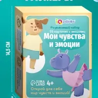 Развивающий набор &laquo;Мои чувства и эмоции&raquo;, 55 карточек, 4+