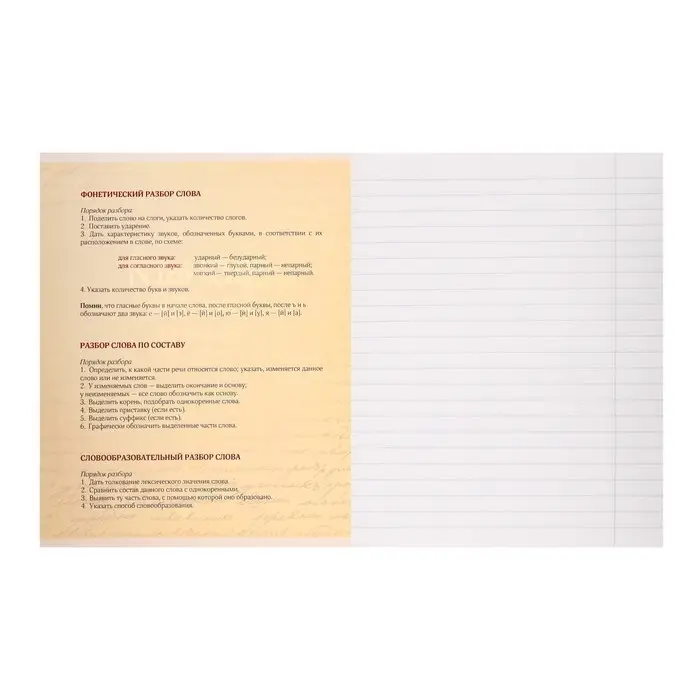 Тетрадь предметная Calligrata &laquo;На Чёрном&raquo;, 48 листов в линию Русский язык, со справочным материалом, обложка мелованный картон, УФ-лак, блок офсет