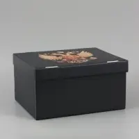 Коробка подарочная самосборная &laquo;Патриот&raquo;, 31&times;25.5&times;16 см