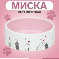 Миска &laquo;Любовь и коты&raquo;, 300 мл, 12.5&times;12.5&times;4.5 см, керамика, розовая, белая