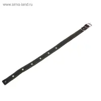 Ошейник брезентовый на фетре, 62&times;2.5 см, ОШ 30-55 см, тёмно-зелёный