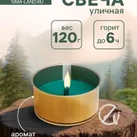 Ароматическая свеча уличная антимоскитная, 10&times;4.5 см, 120 г, 6 ч, хвоя, зелёный