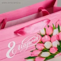 Пакет подарочный ламинированный горизонтальный, упаковка, &laquo;Женский день&raquo;, S 15 х 12 х 5,5 см