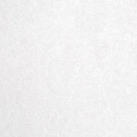 Бумага протирочная для вымени белая 20х18см 1000л 6рул/уп