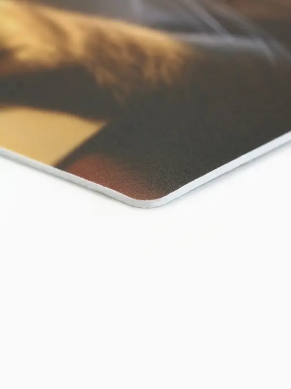 Коврик для компьютерной мыши &laquo;Красивые тоже работают&raquo;, 22&times;20 см