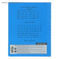 Тетрадь 12 листов в узкую линию &laquo;Школьная&raquo;, обложка мелованный картон, МИКС