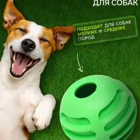 Мяч для собак &laquo;Полосатик&raquo;, 6 см, рифлёный, TPR, зелёный