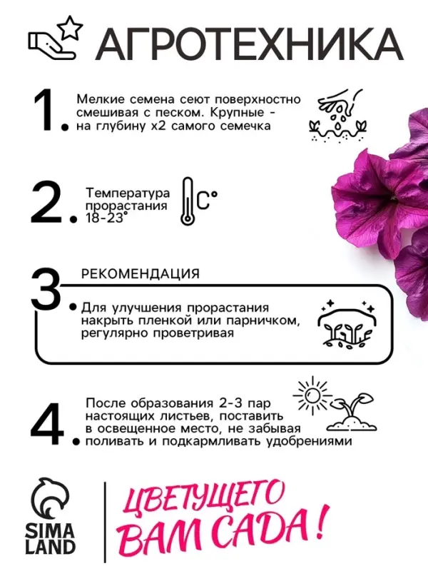 Семена цветов Петуния &laquo;Мамбо&raquo; F1 фиолетовая многоцветковая, 7 шт., однолетник, &laquo;Аэлита&raquo;